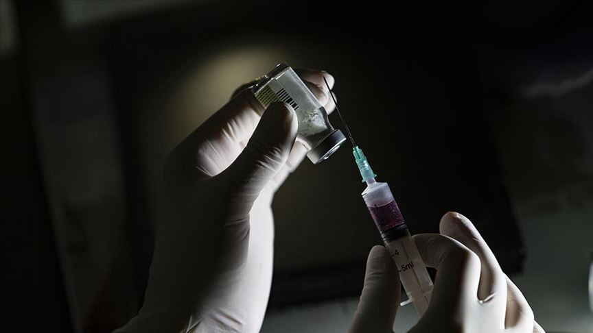 Phase-2 doses have been completed in the domestic corona virus vaccine